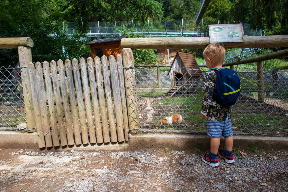 Ben Bertoni in front of the farm animals enclosure at Steinwasen Park in Germany
