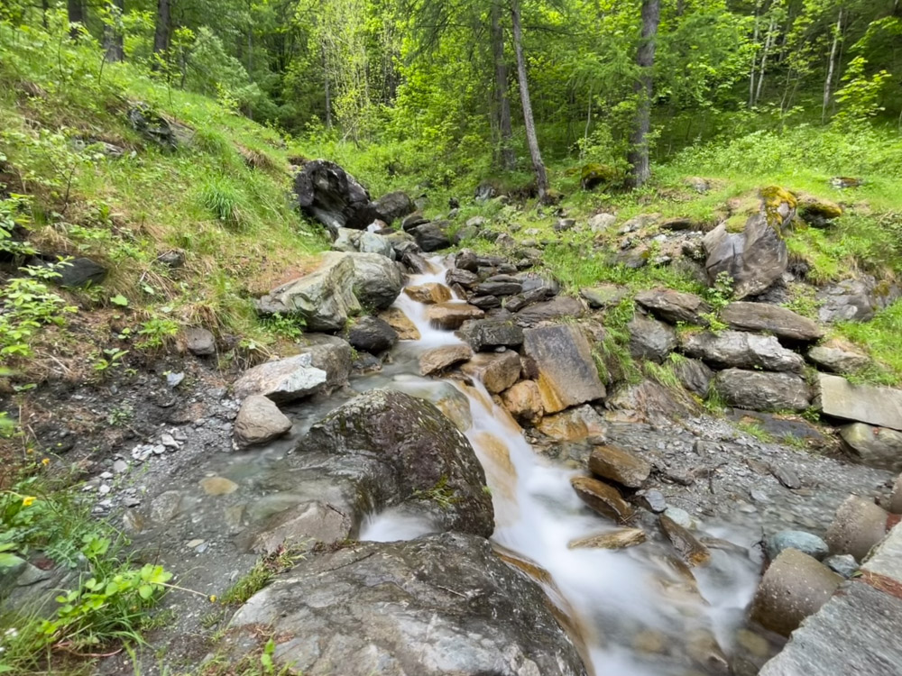 The stream in the Laux forest