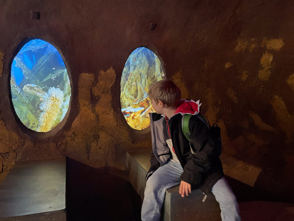 Ben Bertoni at the Malta National Aquarium