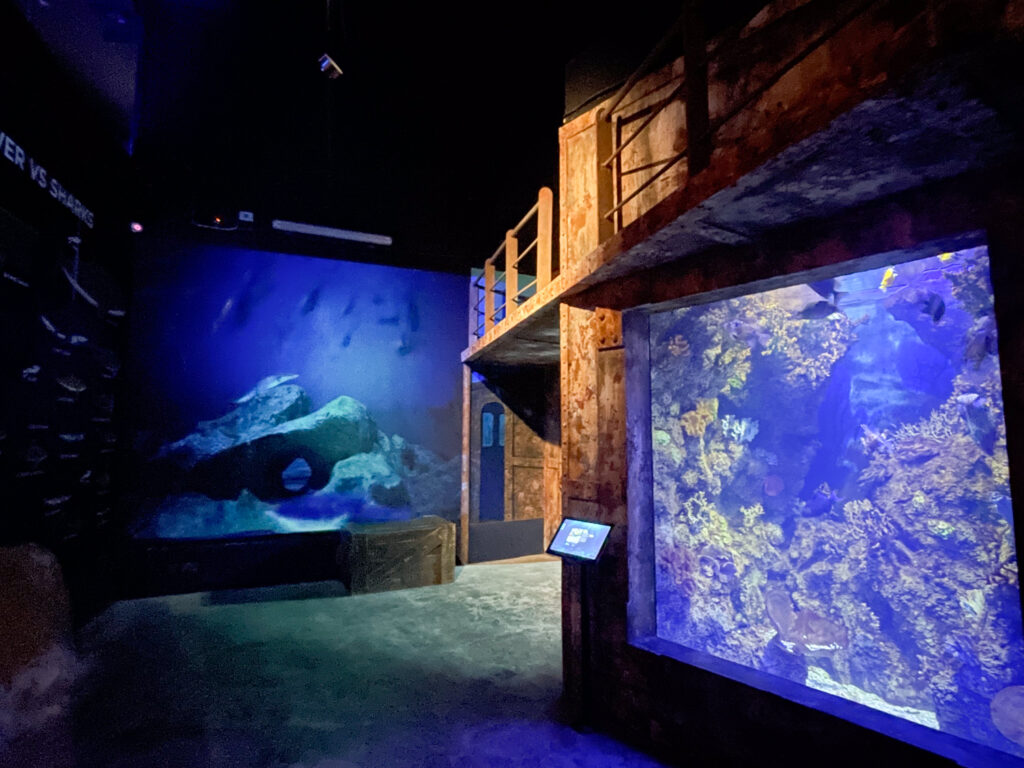 Tanks at the Malta National Aquarium