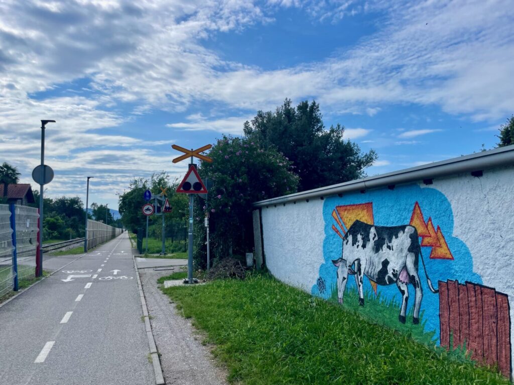 Murals with the famous Gorizia cow whose stable was divided by the border line