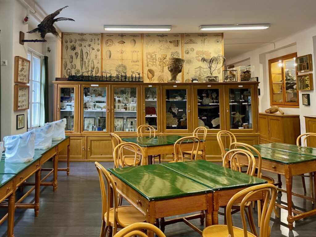 One of the original university classrooms still in use at the Interactive Science Knowledgestore in Szeged