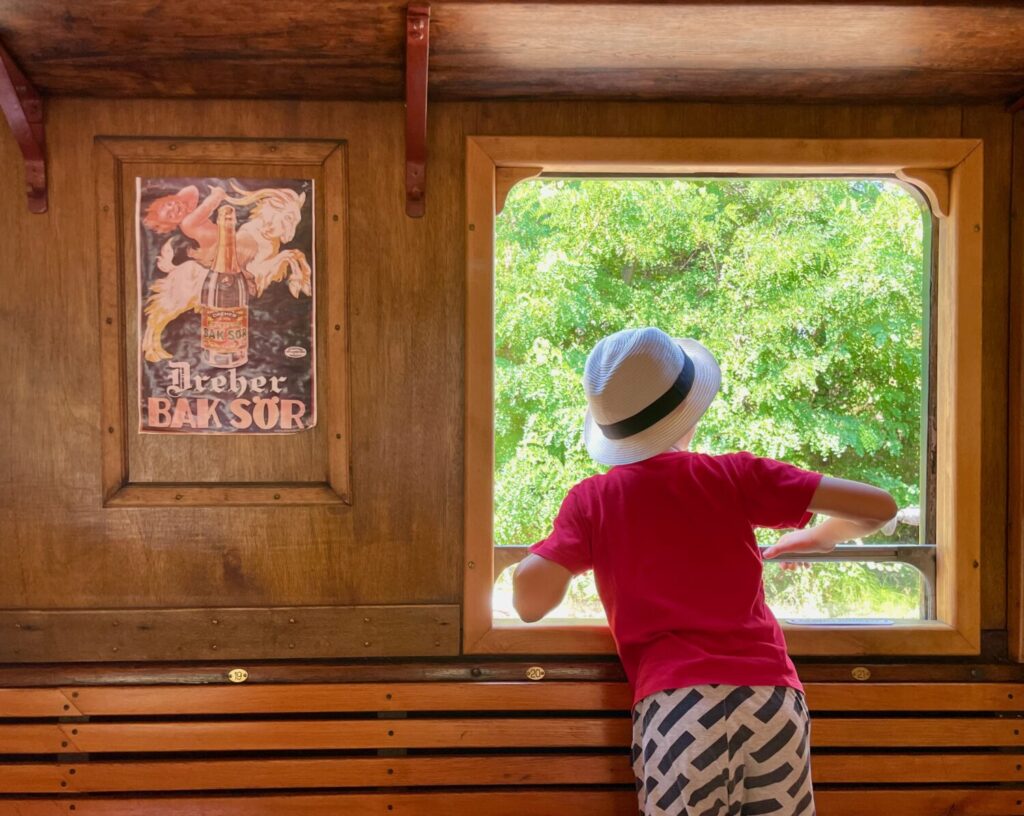 Ben Bertoni aboard the Skanzen Railway train at the Hungarian Ethnographic Open Air Museum in Szentendre, Hungary