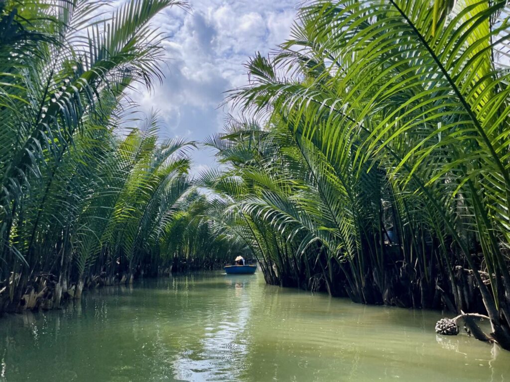 Coconut forest in the Thu Bon River delta, Vietnam