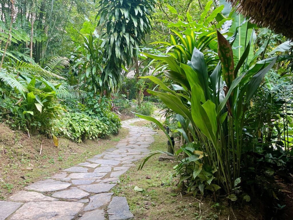 Lush garden at Panhou Retreat in Hoang Su Phi, Vietnam