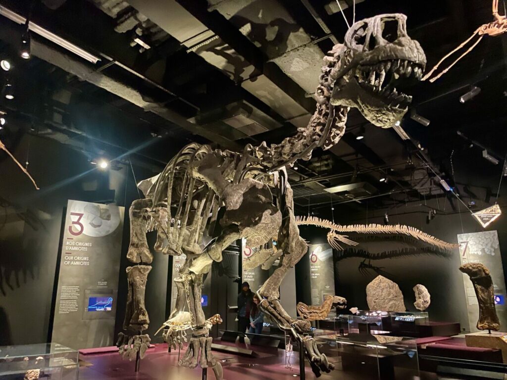 Dinosaur skeleton inside the Musée des Confluences, Lyon
