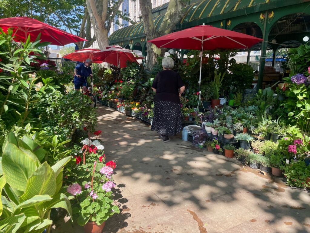 Flower Market in Orbeliani Square, Tbilisi, Georgia